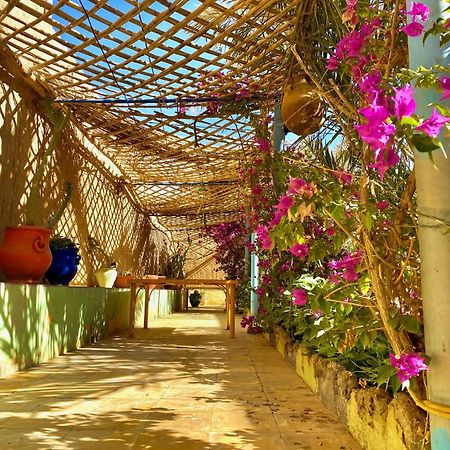 Dar Tata Hotel Adrouine Exterior photo